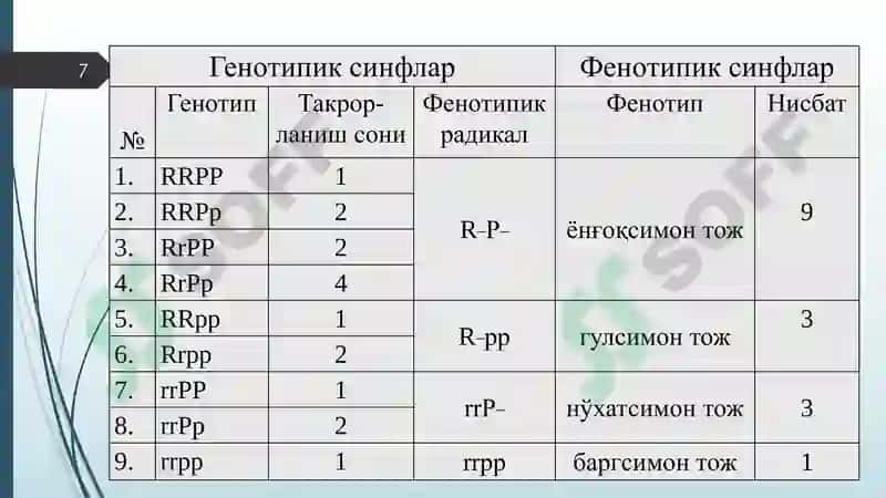Генларнинг комплементар, эпистатик ва полимер таъсири 7