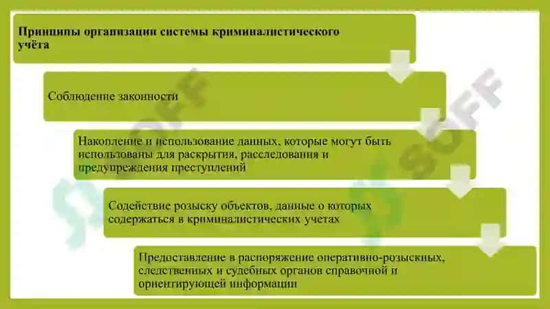 Криминалистическая Регистрация 7