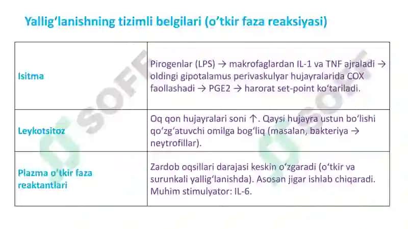 yalliglanish 7