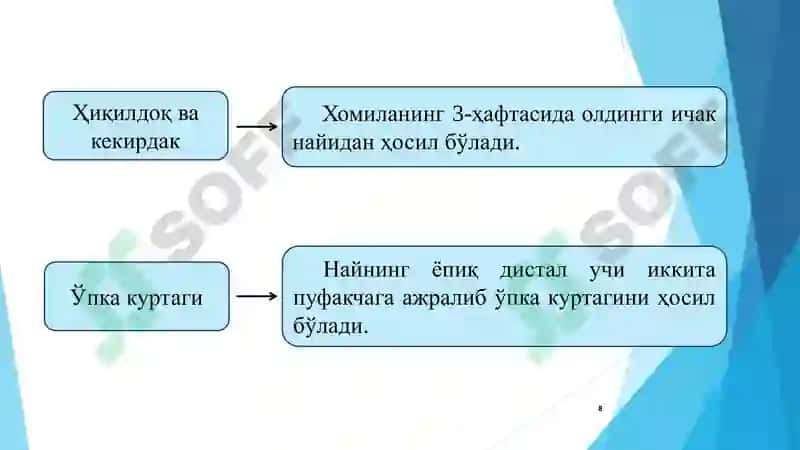 НАФАС ОЛИШ / nafas olish 8