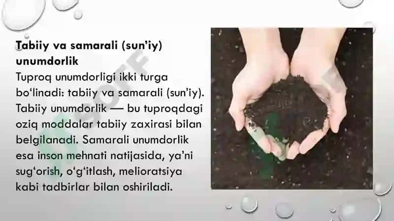 Tuproq va uning tabiiy xususiyatlari 8