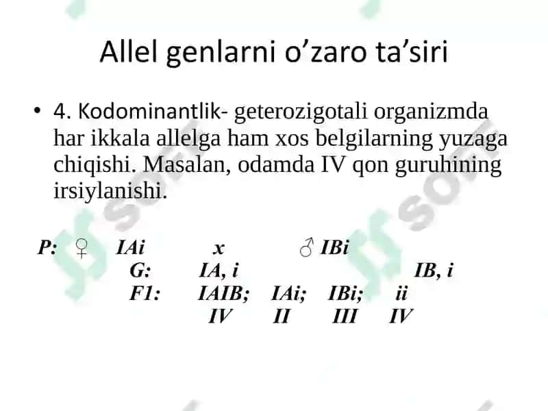 Allel va allelmas genlarning o’zaro ta’siri 8