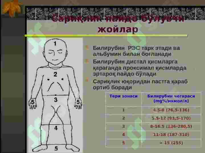 patologik sariqlik 4