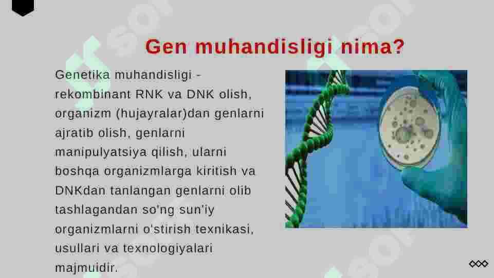 Viruslarning gen muhandisligida qo`llanilishi 2