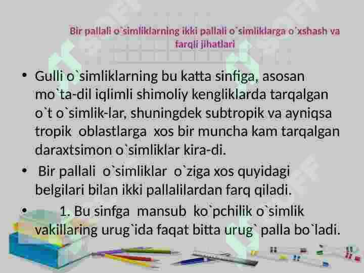 Bir urug’ pallalilar sinfi 3
