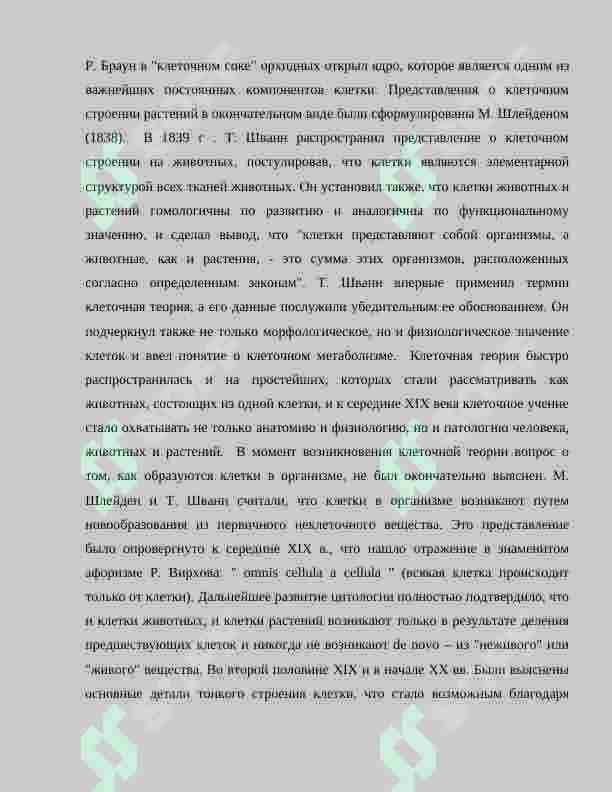 КЛЕТКА 3