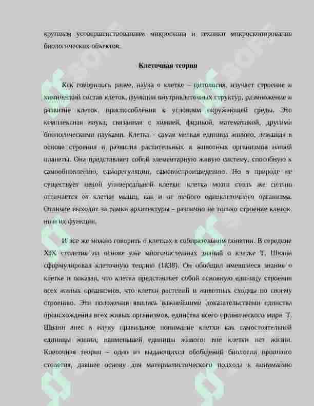 КЛЕТКА 4
