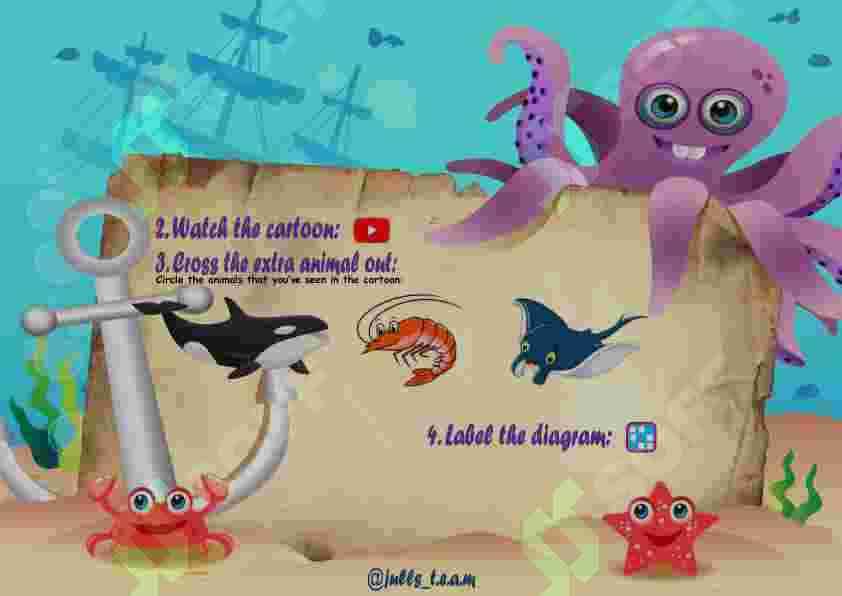 sea animals 3