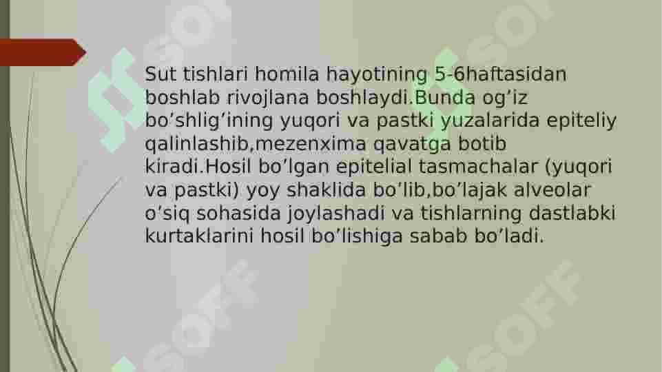 Bolalarda sut tishlarining rivojlanishi,chiqishi,ildizlarining shakllanishi va so’rilish muddatlari 4