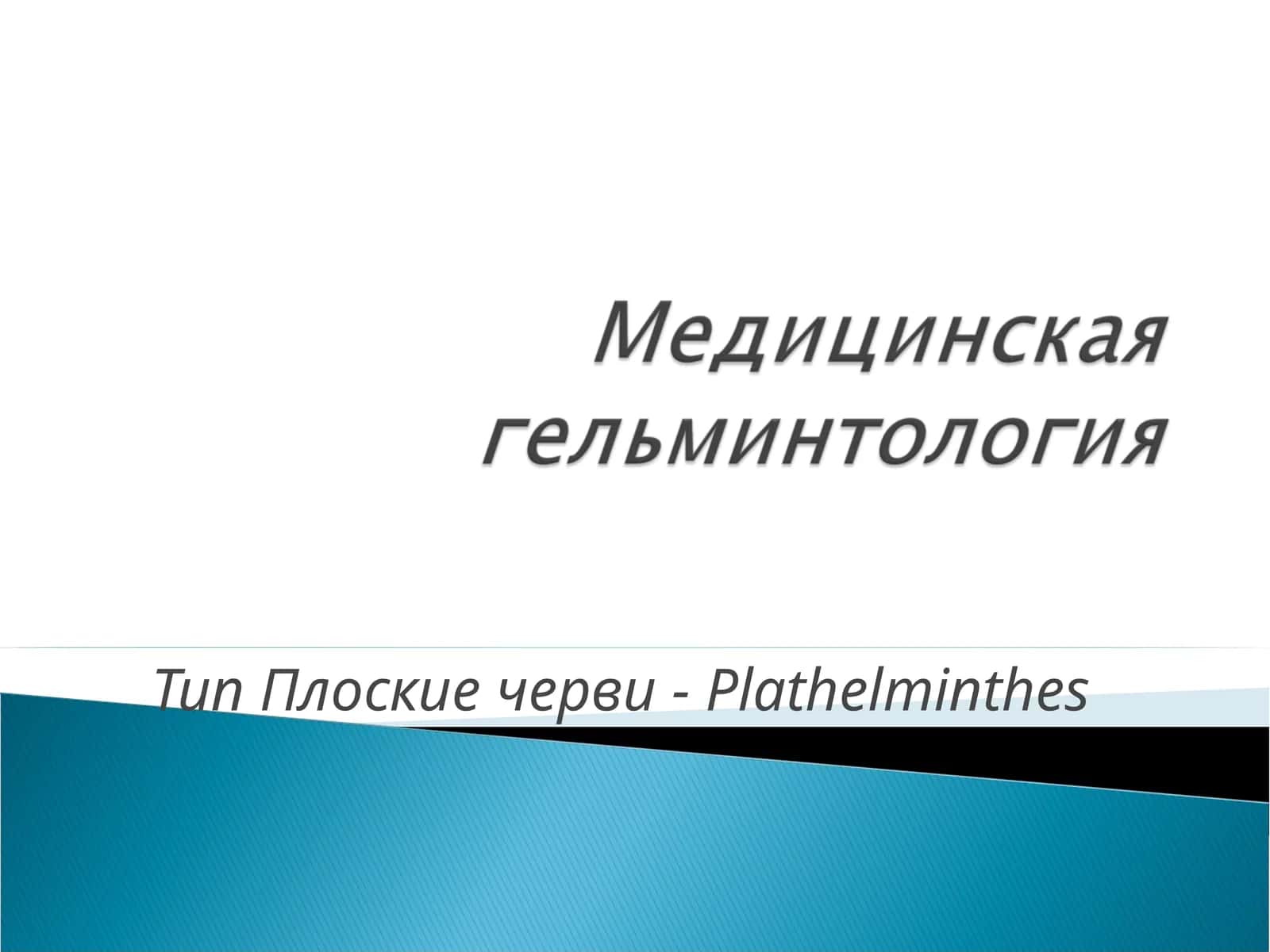 Тип Плоские черви-Plathelminthes 1