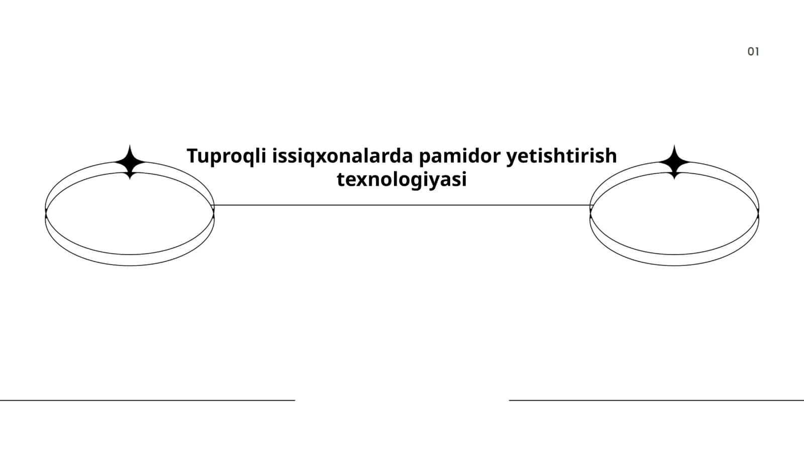 Tuproqli issiqxonalarda pamidor yetishtirish texnologiyasi 1