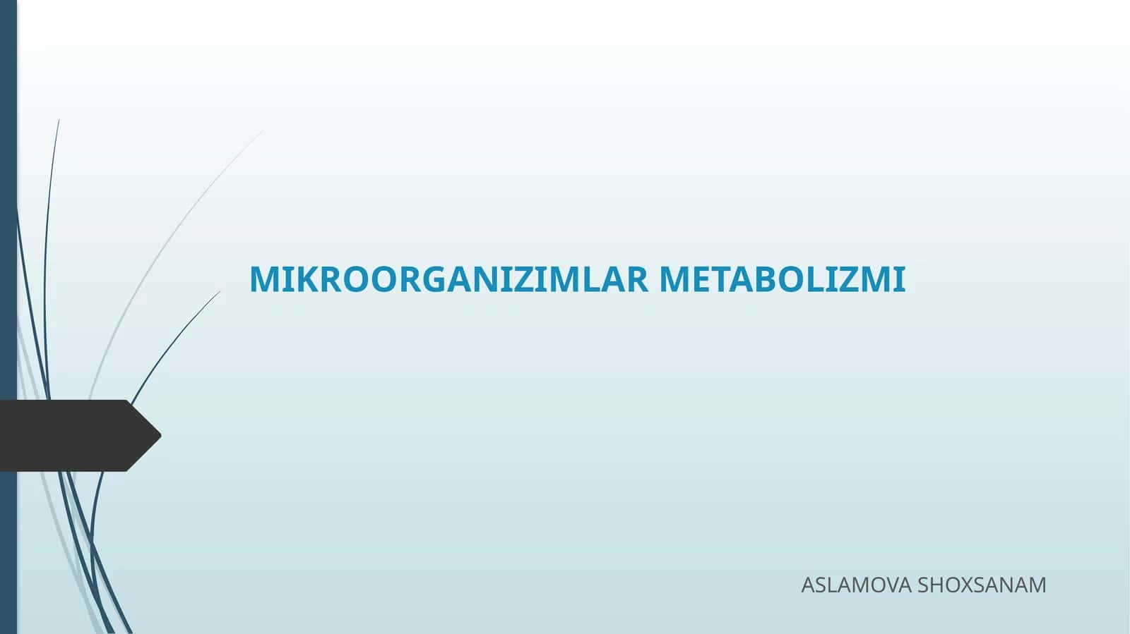 MIKROORGANIZIMLAR METABOLIZMI 1