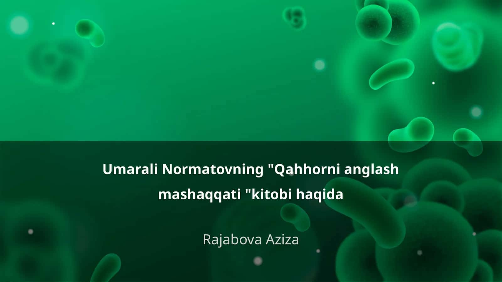 Qahhorni anglash mashaqqati kitobi haqida 1