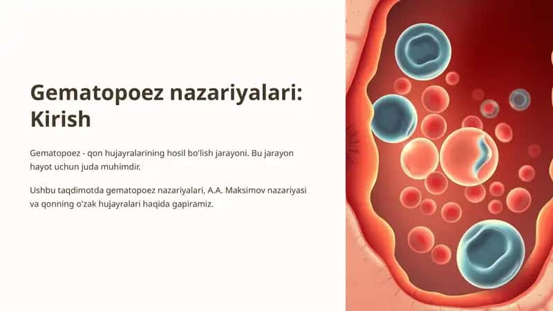 Gematopoez nazariyalari. 1