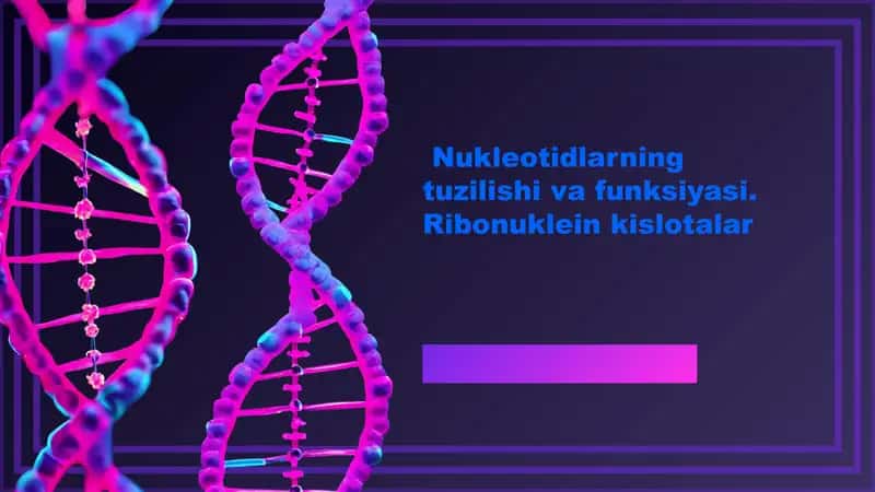 Nukleotidlar va genetik ma'lumot uzatish 1