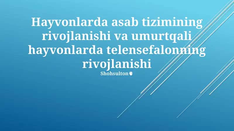 Hayvonlarda asab tizimining rivojlanishi va umurtqali hayvonlarda telensefalonning rivojlanishi 1