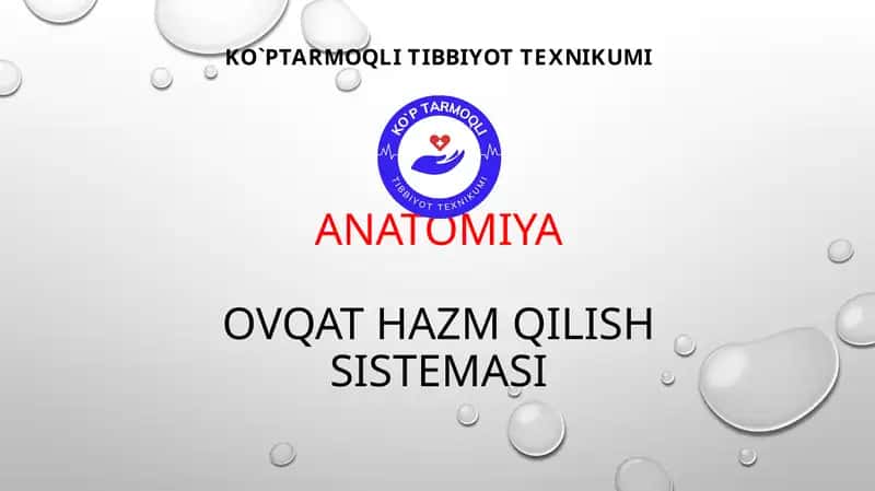 ovqat hazm qilishni 1