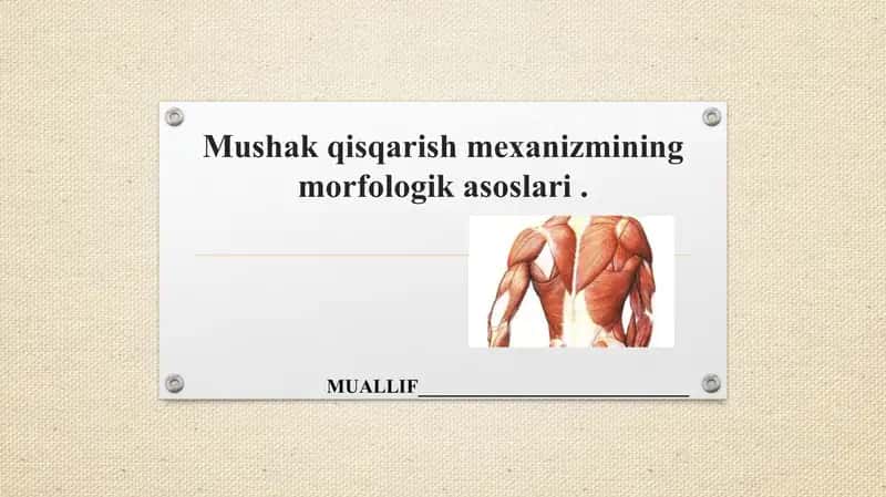 Mushak qisqarish mexanizmi 1