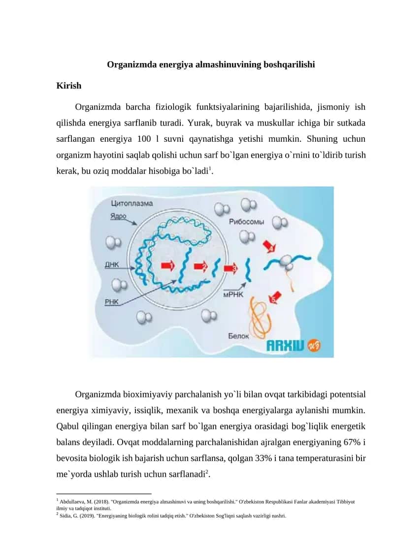 Organizmda energiya almashinuvining boshqarilishi 1