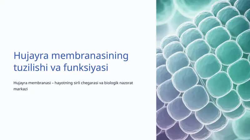 Hujayra membranasining tuzilishi va funksiyasi 1