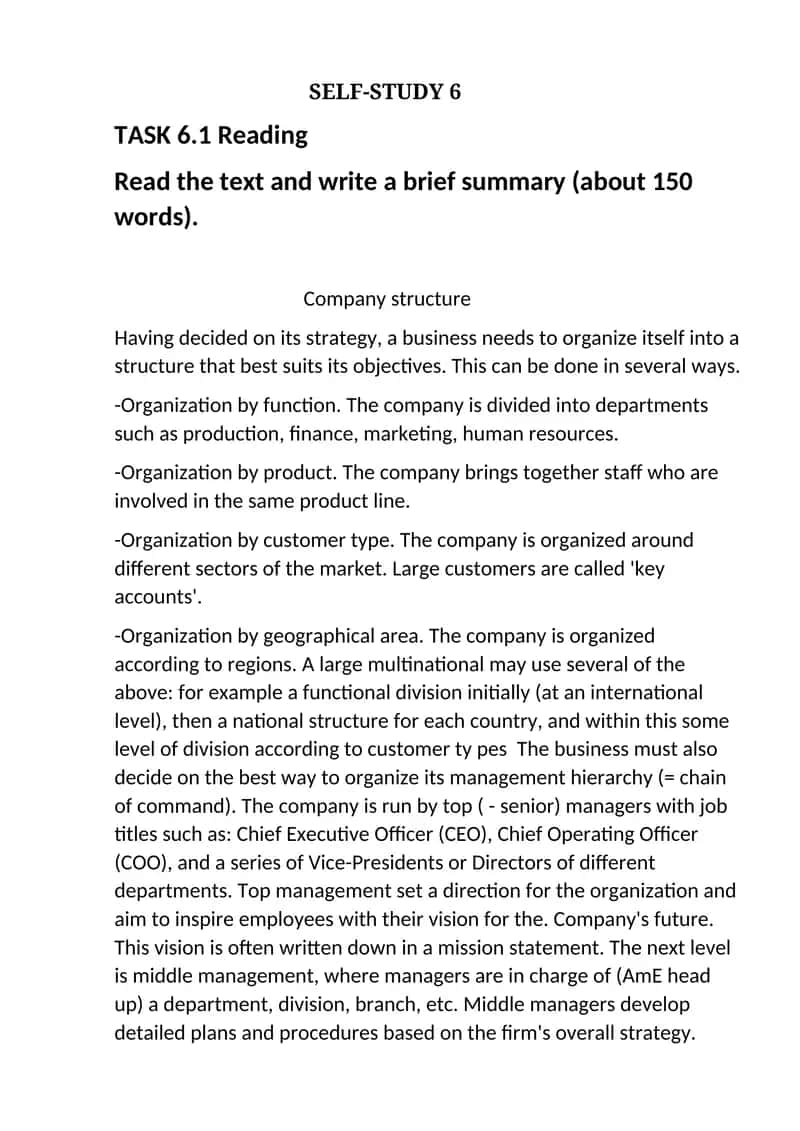 Company structure 1