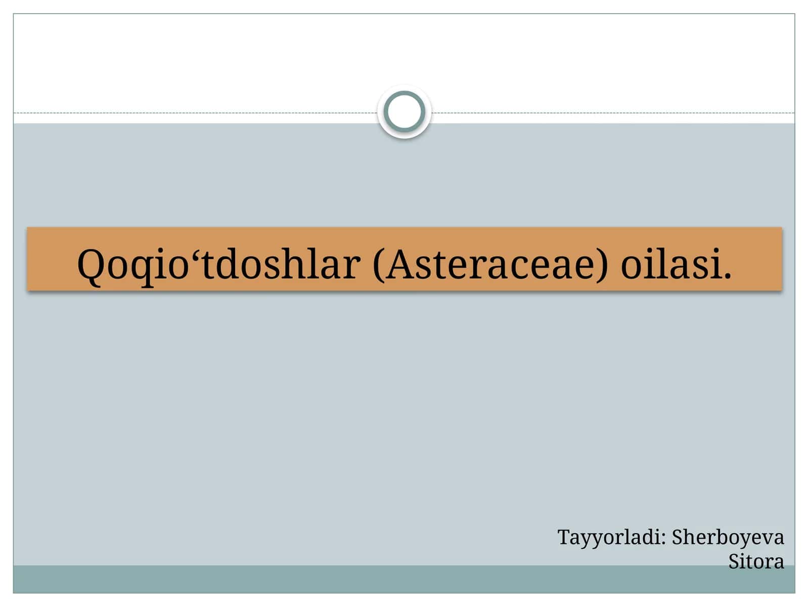 Qoqio‘tdoshlar (Asteraceae) oilasi 1