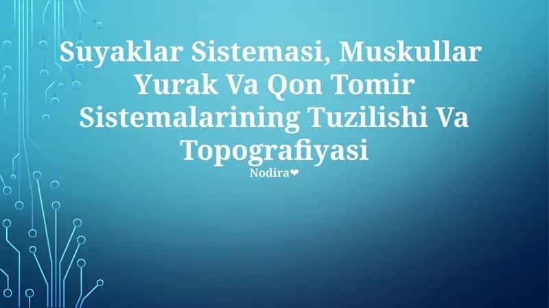 Suyaklar Sistemasi, Muskullar Yurak Va Qon Tomir Sistemalarining Tuzilishi Va Topografiyasi 1