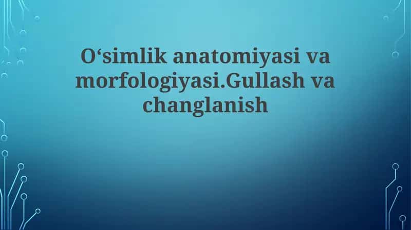 O'simlik anatomiyasi va morfologiyasi 1
