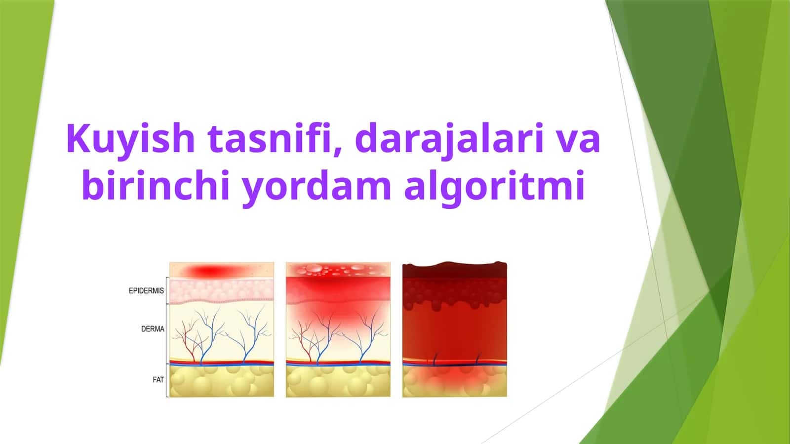 Kuyish tasnifi, darajalari va birinchi yordam algoritmi 1