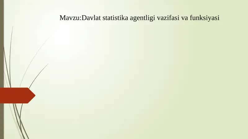Davlat statistika agentligi vazifasi va funksiyasi 1