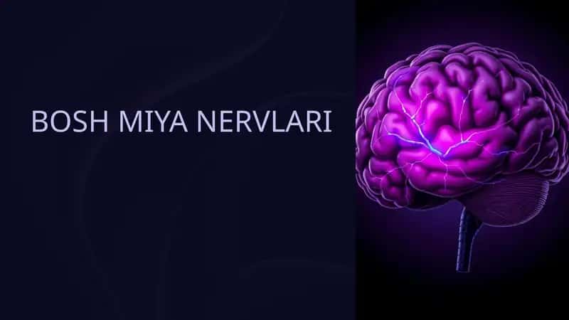 BOSH MIYA NERVLARI 1