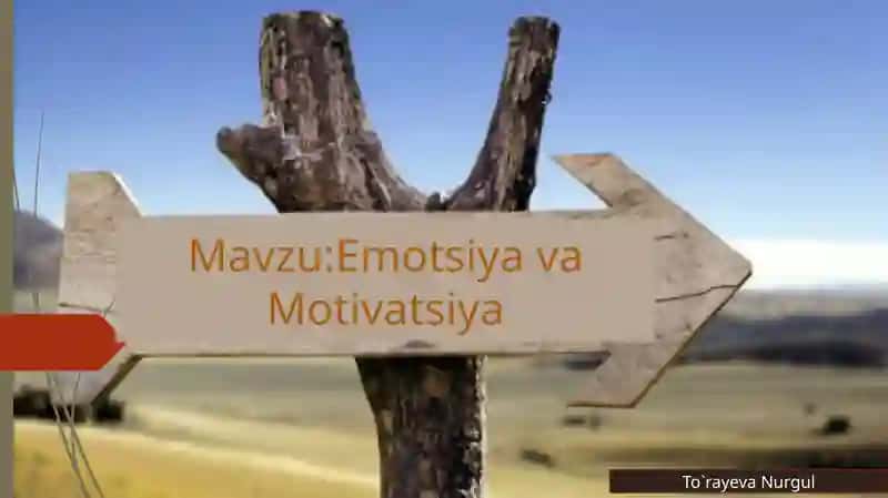 Emotsiya va Motivatsiya