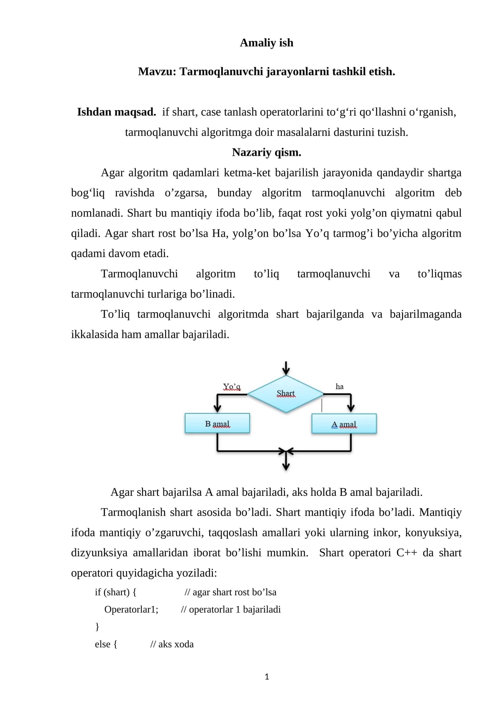 Tarmoqlanuvchi algoritm 1
