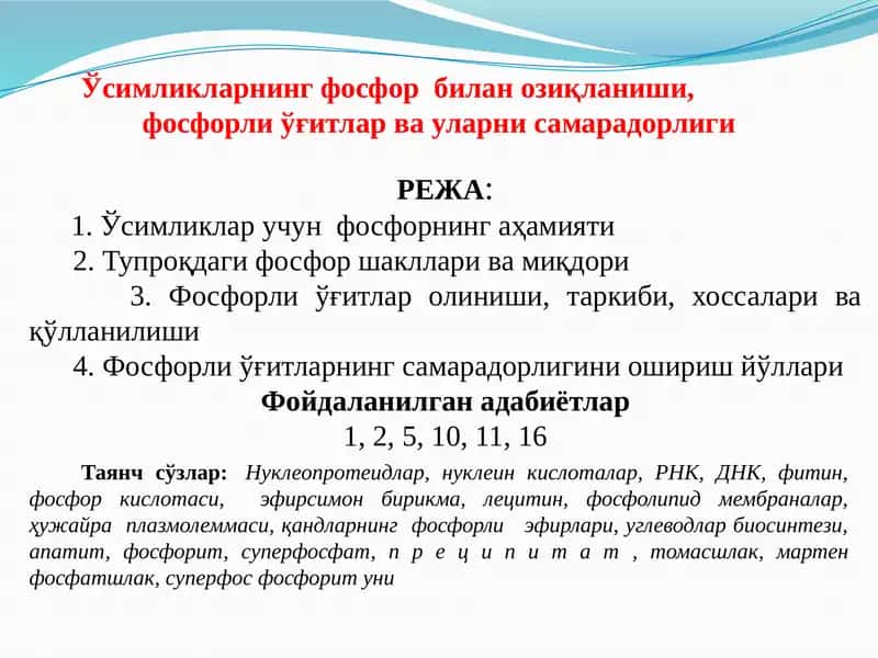 Ўсимликларнинг фосфор билан озиқланиши, фосфорли ўғитлар ва уларни самарадорлиги 1