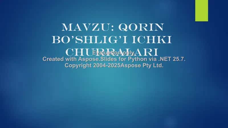 Qorin bo’shlig’I ichki churralari 1