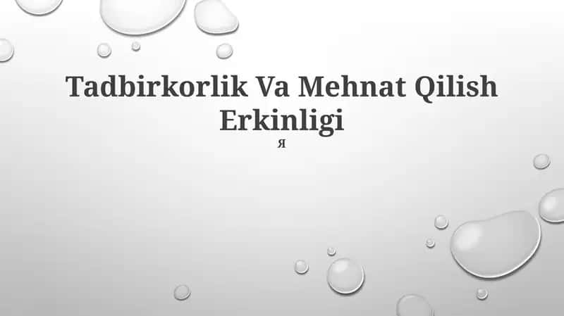 Tadbirkorlik Va Mehnat Qilish Erkinligi 1