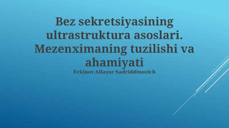 Mezenximaning tuzilishi va ahamiyati 1