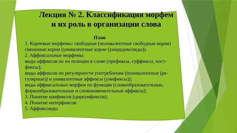 Особенности морфем и их вариантов в организации слова 1