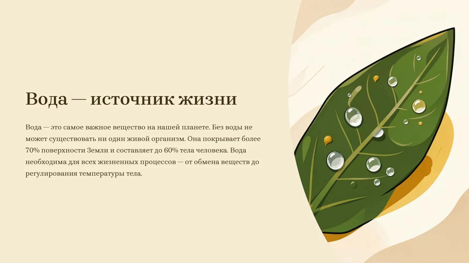 Вода — источник жизни 1