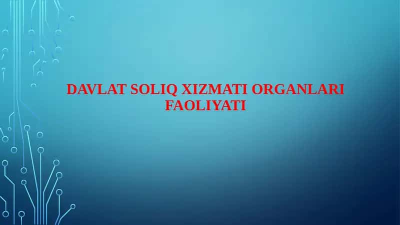 Davlat soliq xizmati organlari faoliyati 1
