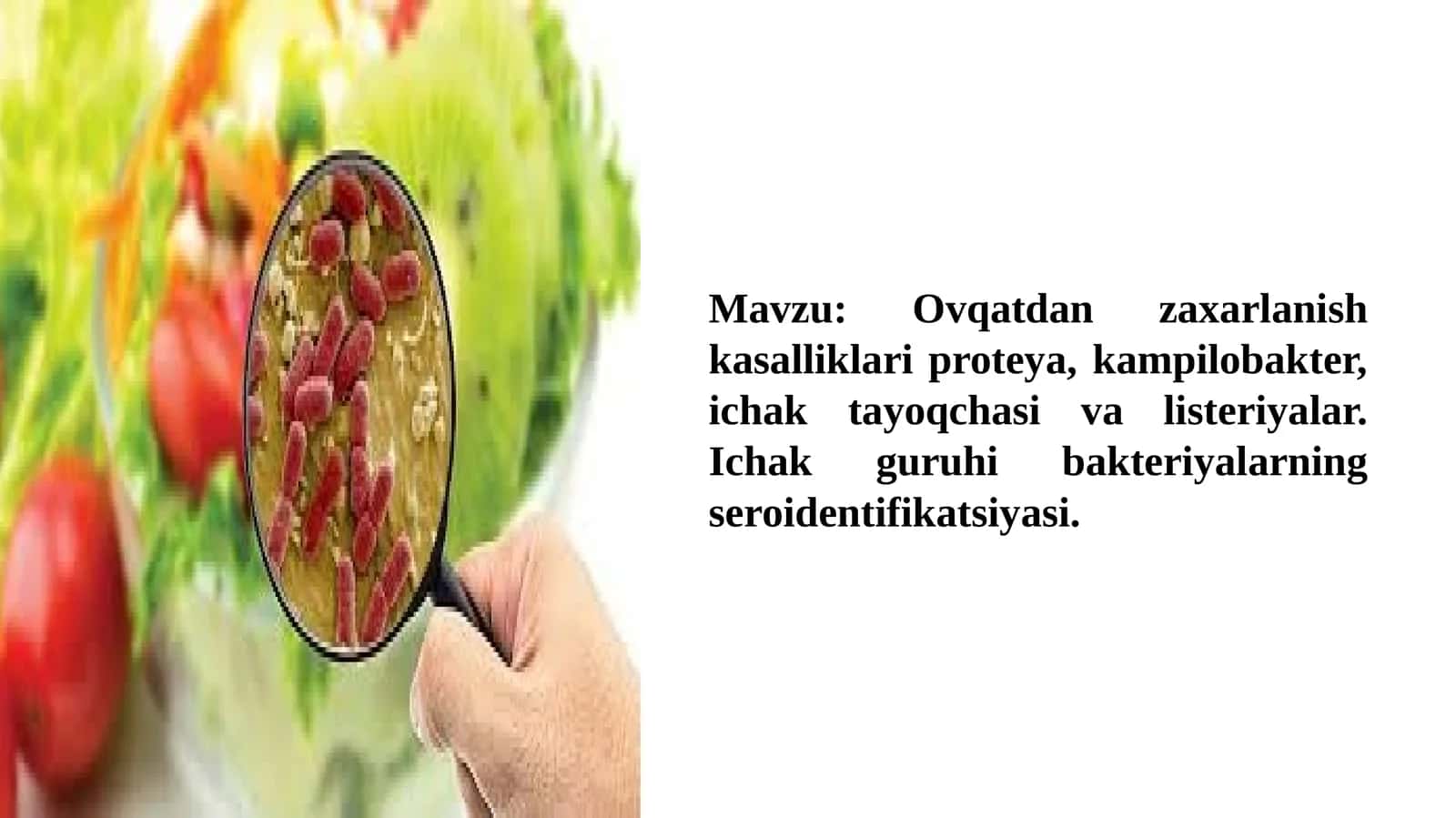 Ichak guruhi bakteriyalarining seroidentifikatsiyasi 1