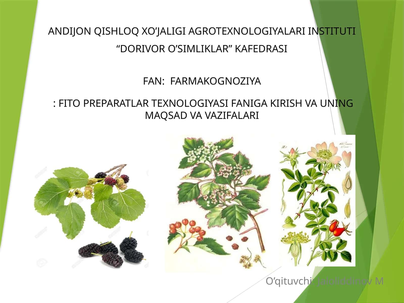 FARMAKOGNOZIYA: FITO PREPARATLAR TEXNOLOGIYASI 1