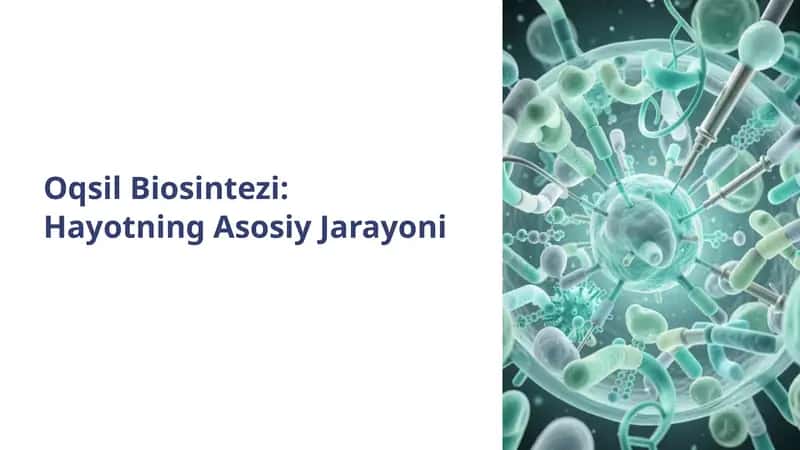 Oqsil Biosintezi: Hayotning Asosiy Jarayoni 1