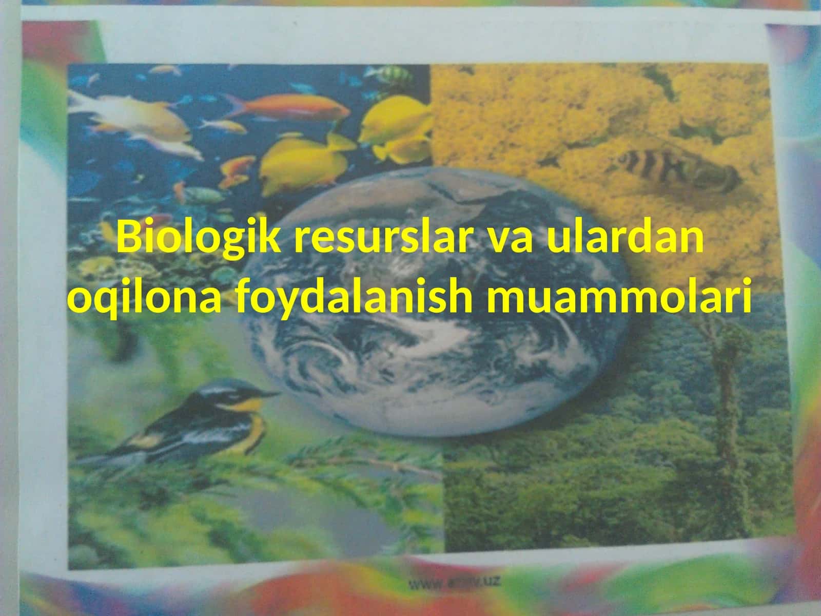 Biologik resurslarvaulardanoqilona foydalanish muammolari 1