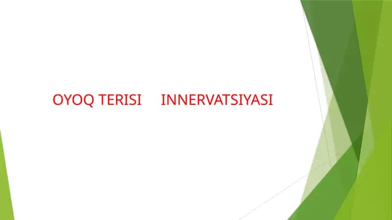OYOQ TERISI INNERVATSIYASI 1