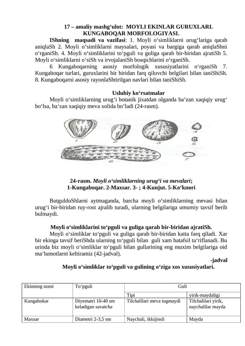 MOYLI EKINLAR GURUXLARI. KUNGABOQAR MORFOLOGIYASI 1