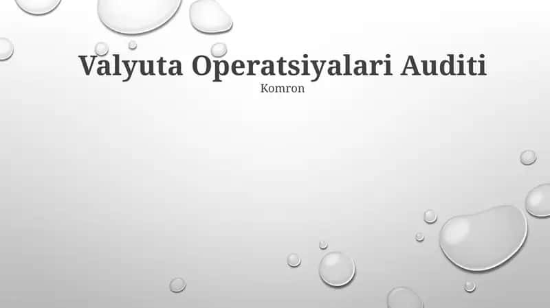 Valyuta Operatsiyalari Auditi 1
