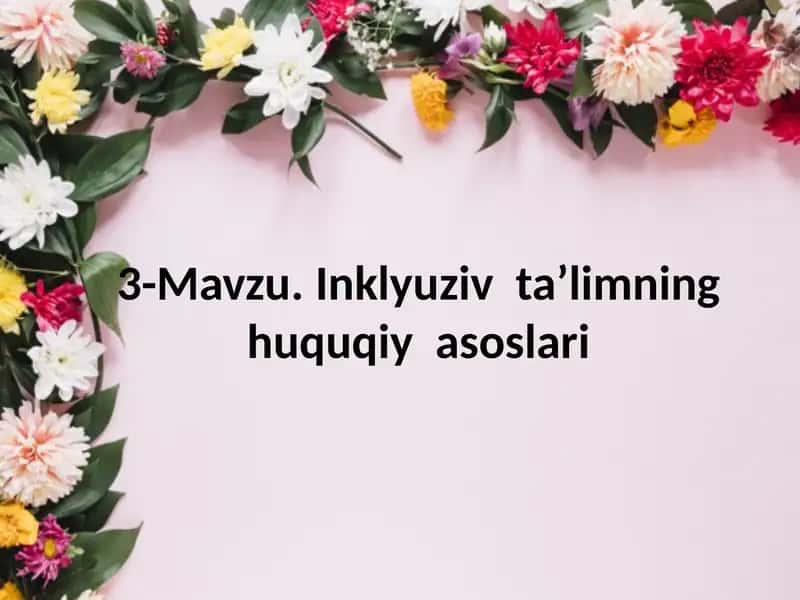 Inklyuziv ta’limning huquqiy asoslari 1