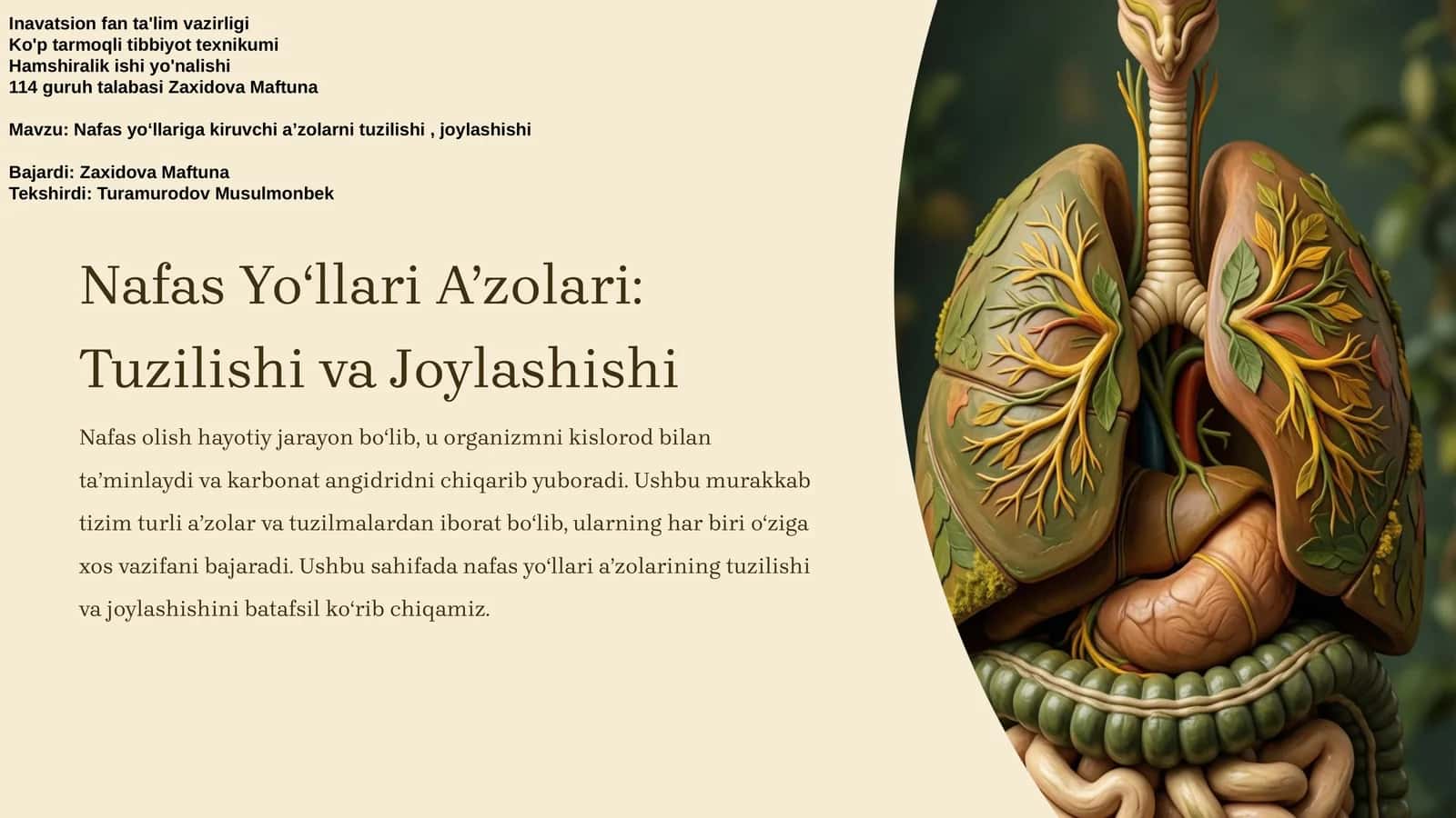 Nafas Yoʻllari Aʼzolari: Tuzilishi va Joylashishi 1