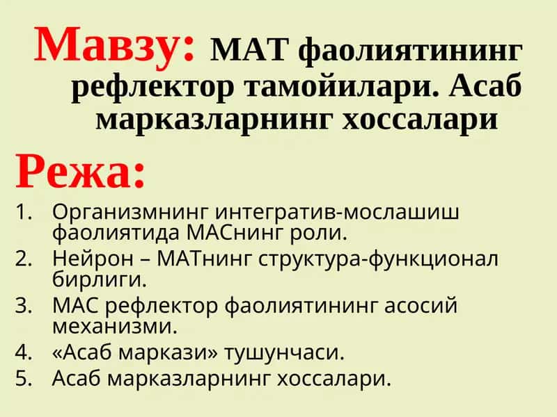 МАТ фаолиятининг рефлектор тамойилари. Асаб марказларнинг хоссалари 1